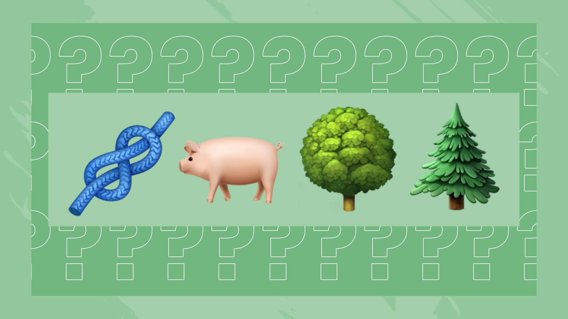 挥的同时 挥的同时