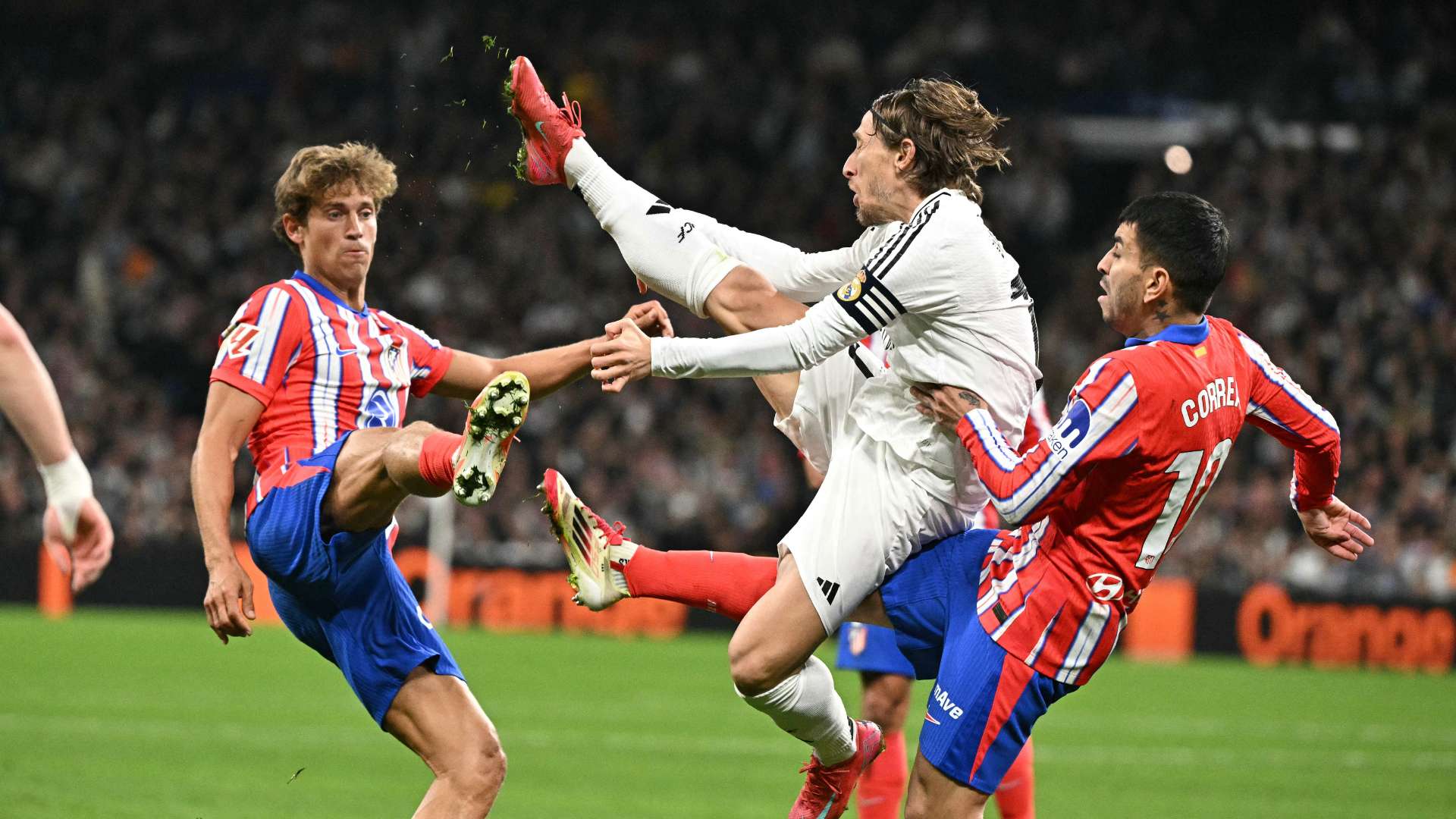 执教哲学 执教哲学