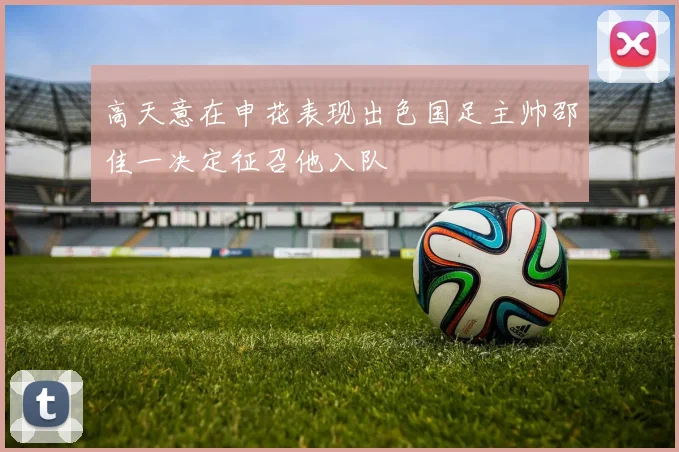 高天意在申花表现出色国足主帅邵佳一决定征召他入队