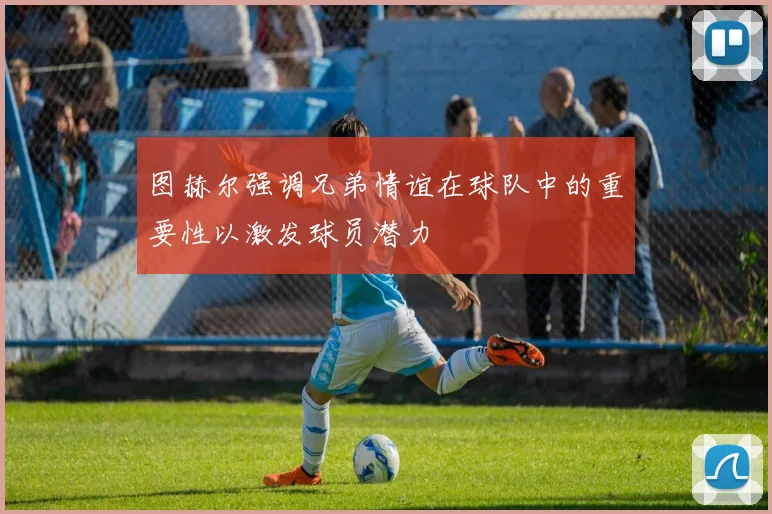 图赫尔强调兄弟情谊在球队中的重要性以激发球员潜力