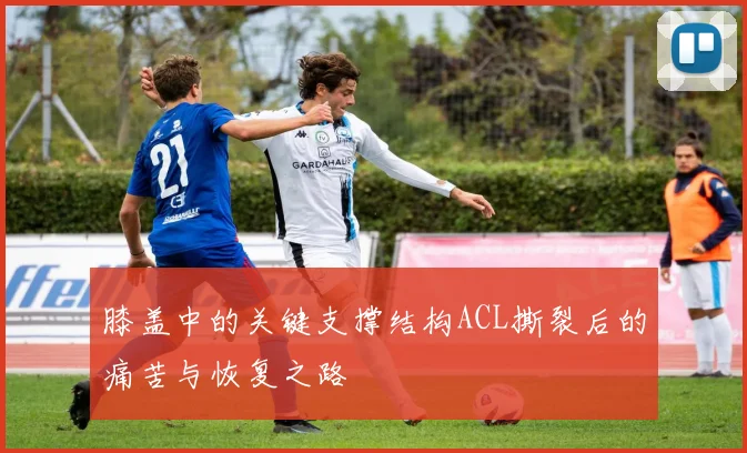 膝盖中的关键支撑结构ACL撕裂后的痛苦与恢复之路